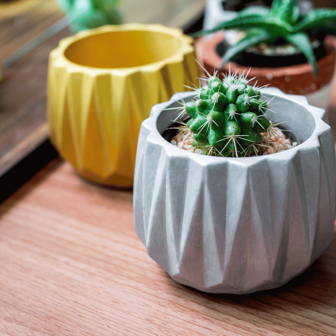 Stylish Pots & Planters